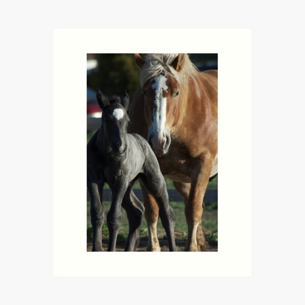 Molly Belle & Promise Art Print