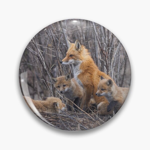 Item preview, Mama red fox and her kits designed and sold by James Cumming.