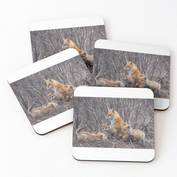 Item preview, Mama red fox and her kits designed and sold by James Cumming.