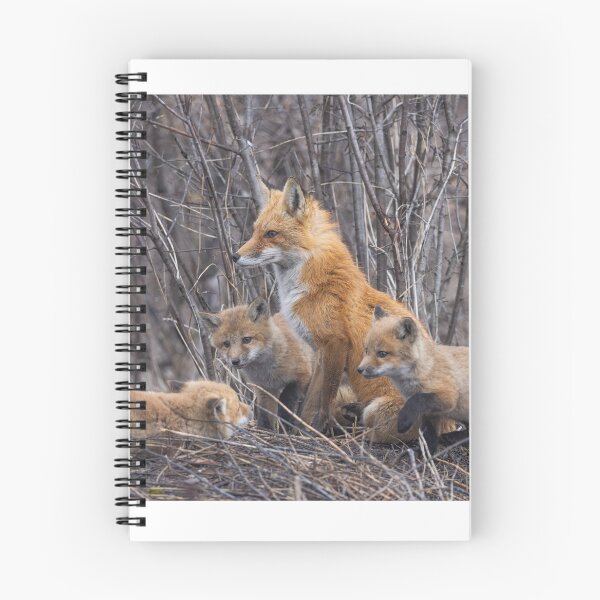Item preview, Mama red fox and her kits designed and sold by James Cumming.