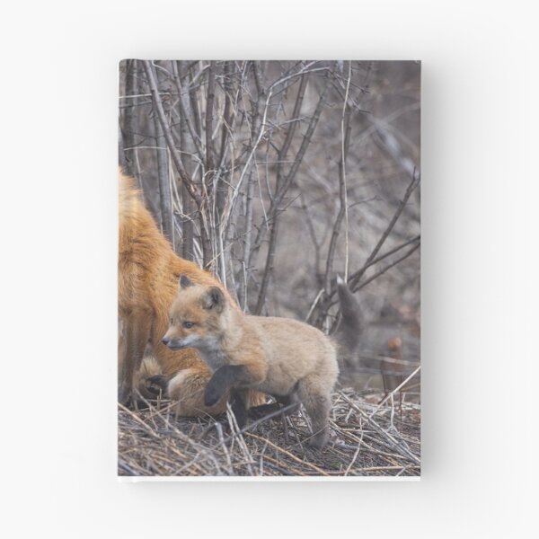 Item preview, Mama red fox and her kits designed and sold by James Cumming.