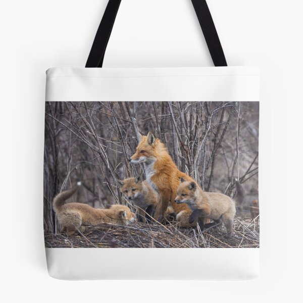 Item preview, Mama red fox and her kits designed and sold by James Cumming.