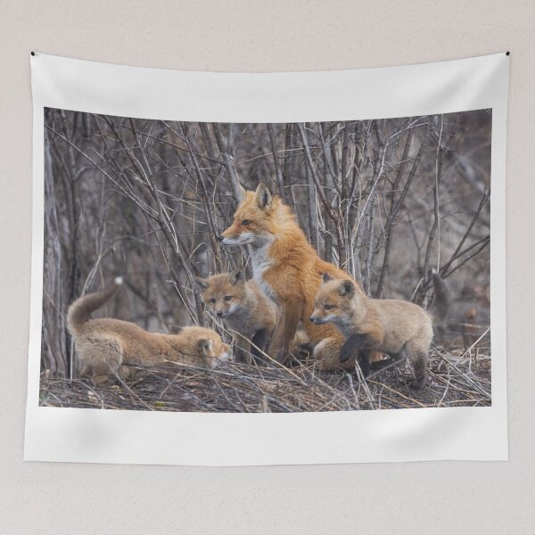 Item preview, Mama red fox and her kits designed and sold by James Cumming.
