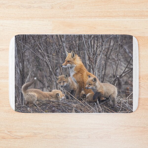 Item preview, Mama red fox and her kits designed and sold by James Cumming.