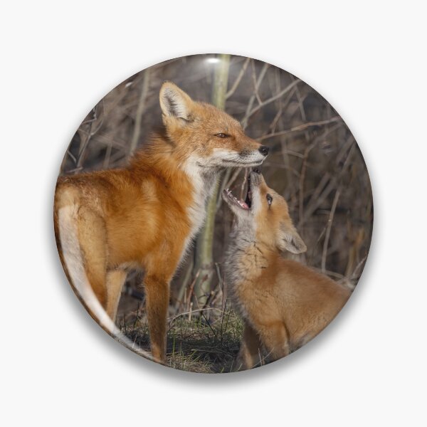 Item preview, Mama red fox and her kit designed and sold by James Cumming.