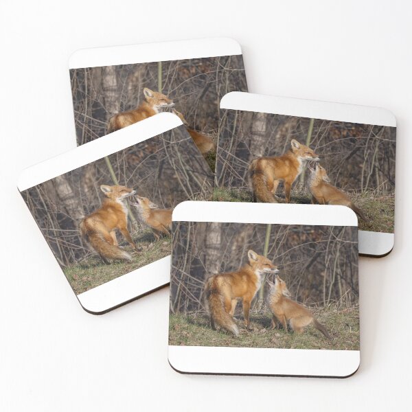 Item preview, Mama red fox and her kit designed and sold by James Cumming.