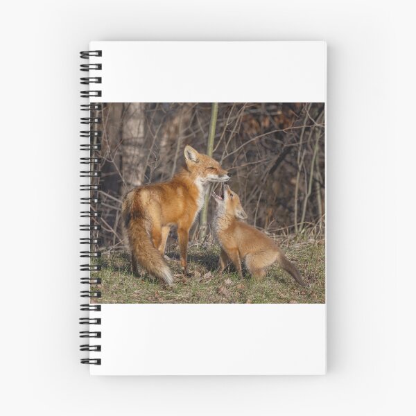 Item preview, Mama red fox and her kit designed and sold by James Cumming.