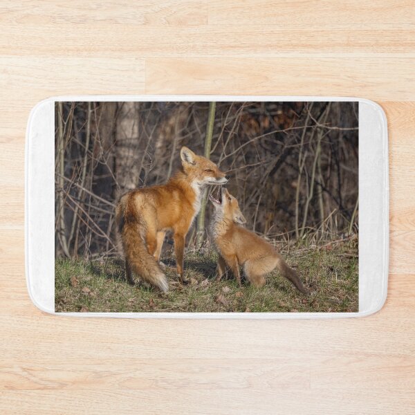 Item preview, Mama red fox and her kit designed and sold by James Cumming.