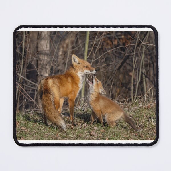 Item preview, Mama red fox and her kit designed and sold by James Cumming.