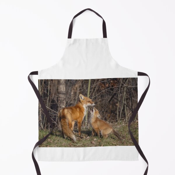 Item preview, Mama red fox and her kit designed and sold by James Cumming.