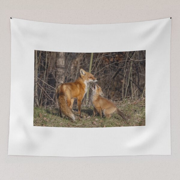 Item preview, Mama red fox and her kit designed and sold by James Cumming.