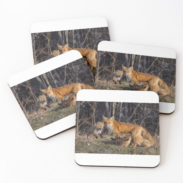 Item preview, Mama red fox feeding her kits designed and sold by James Cumming.