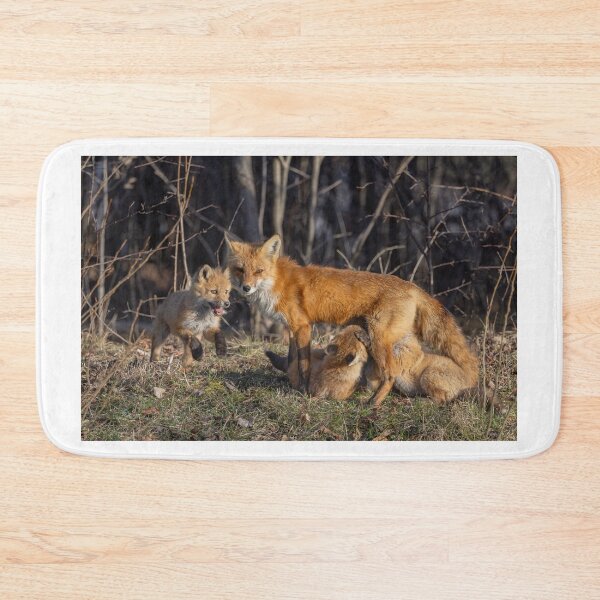 Item preview, Mama red fox feeding her kits designed and sold by James Cumming.