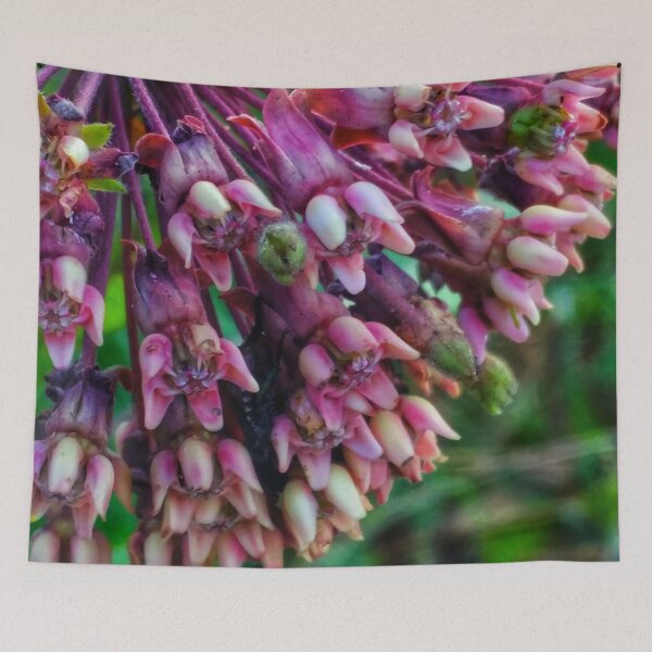 Item preview, Milkweed designed and sold by The Rage Garden.