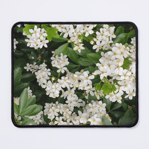 Item preview, Original Flower Photo – A2 Botanical Print – Real Flower Photography No AI designed and sold by CamirCreations.