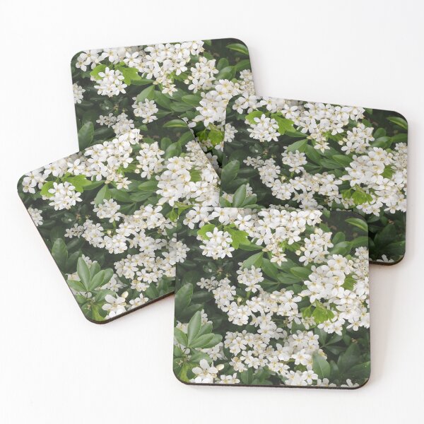 Item preview, Original Flower Photo – A2 Botanical Print – Real Flower Photography No AI designed and sold by CamirCreations.