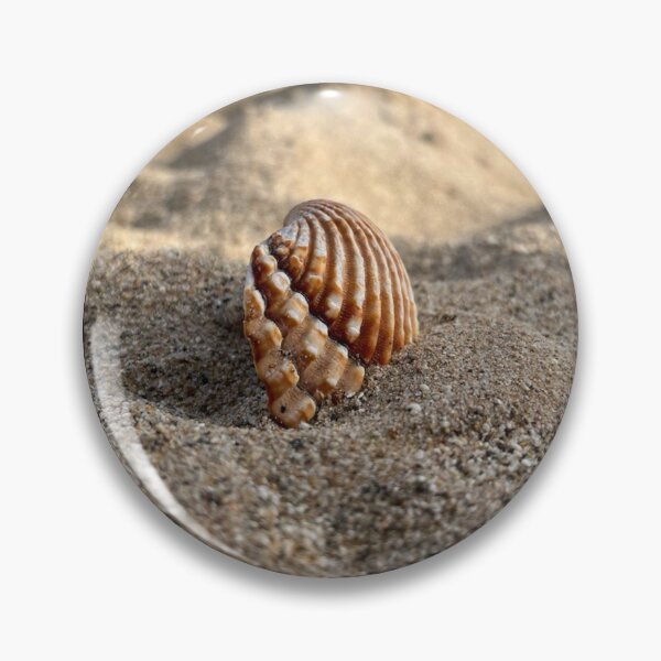 Item preview, Minimalist Brown Seashell on Sandy Beach designed and sold by Kainicram.