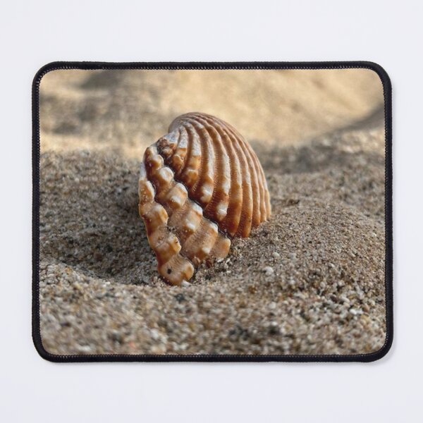 Item preview, Minimalist Brown Seashell on Sandy Beach designed and sold by Kainicram.