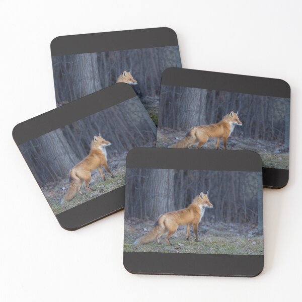 Item preview, Red fox in spring designed and sold by James Cumming.