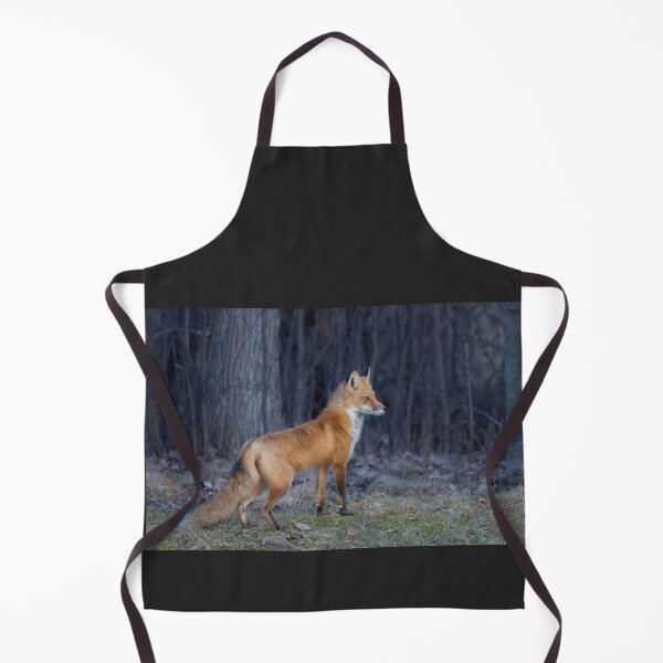 Item preview, Red fox in spring designed and sold by James Cumming.