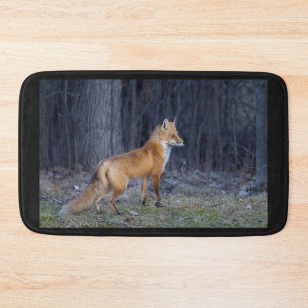 Item preview, Red fox in spring designed and sold by James Cumming.