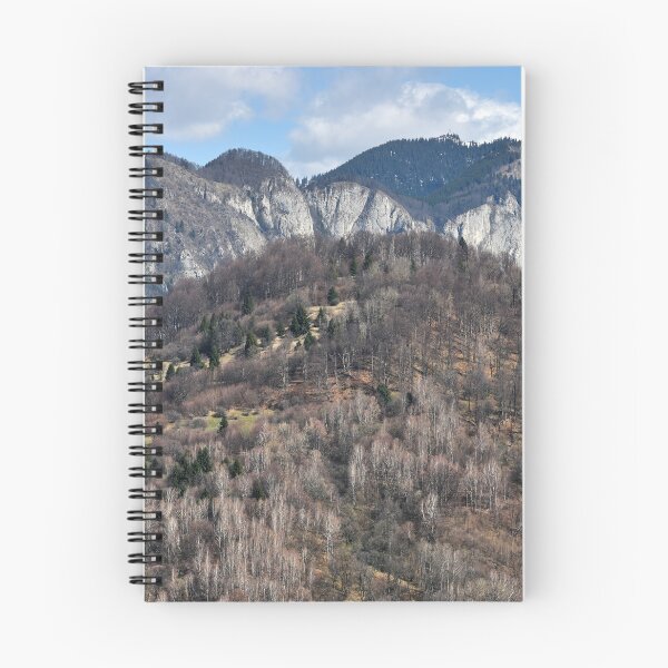 Item preview, Beautiful view of Carpathian Mountains in spring, Transylvania, Romania, original photography designed and sold by studio838.