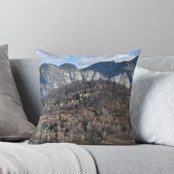 Item preview, Beautiful view of Carpathian Mountains in spring, Transylvania, Romania, original photography designed and sold by studio838.