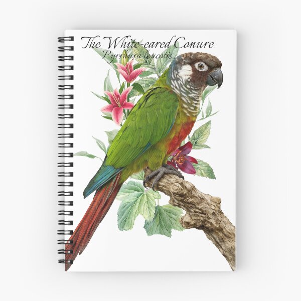 Item preview, The White-eared Conure Scientific illustration Design designed and sold by AvianDesign.