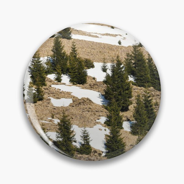 Item preview, Carpathian Mountains, beautiful view of fir trees on a mountain slope, Romania, original photography designed and sold by studio838.