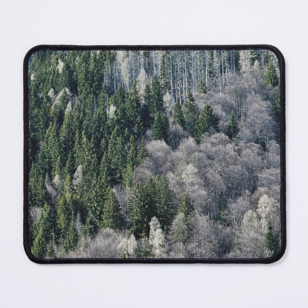 Item preview, Carpathian Mountains, beautiful view of fir trees on a mountain slope, Romania, original photography designed and sold by studio838.