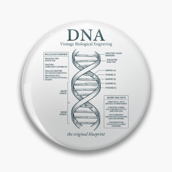 Item preview, Vintage DNA Diagram Original Blueprint Science designed and sold by FreshVibe Prints.