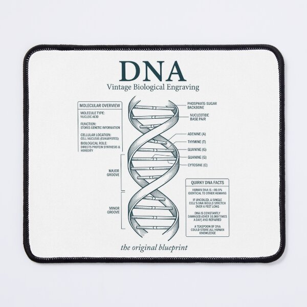 Item preview, Vintage DNA Diagram Original Blueprint Science designed and sold by FreshVibe Prints.