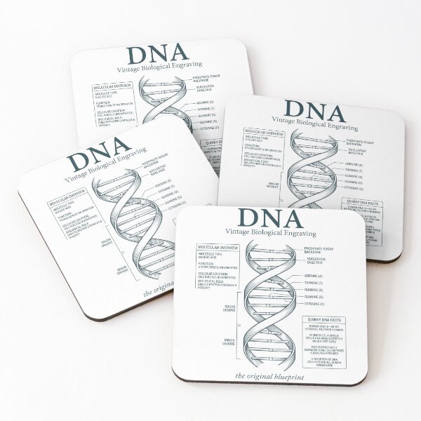 Item preview, Vintage DNA Diagram Original Blueprint Science designed and sold by FreshVibe Prints.