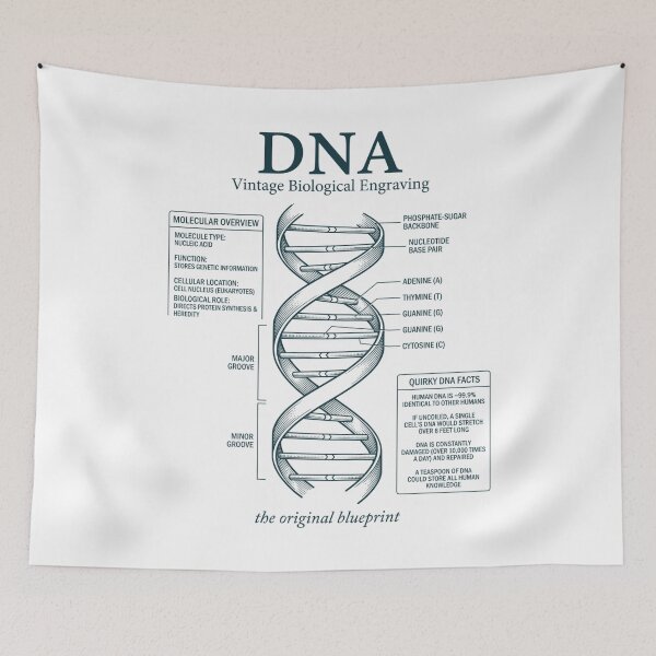 Item preview, Vintage DNA Diagram Original Blueprint Science designed and sold by FreshVibe Prints.