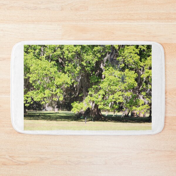Item preview, Majestic Oak Tree in Sunlight designed and sold by Cynthia48.