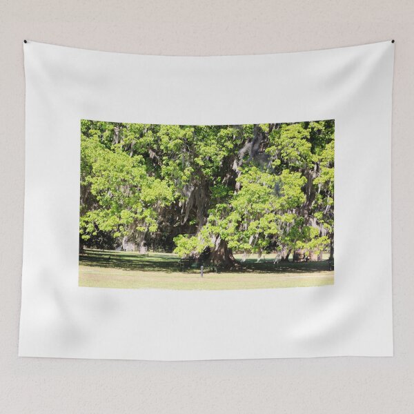 Item preview, Majestic Oak Tree in Sunlight designed and sold by Cynthia48.