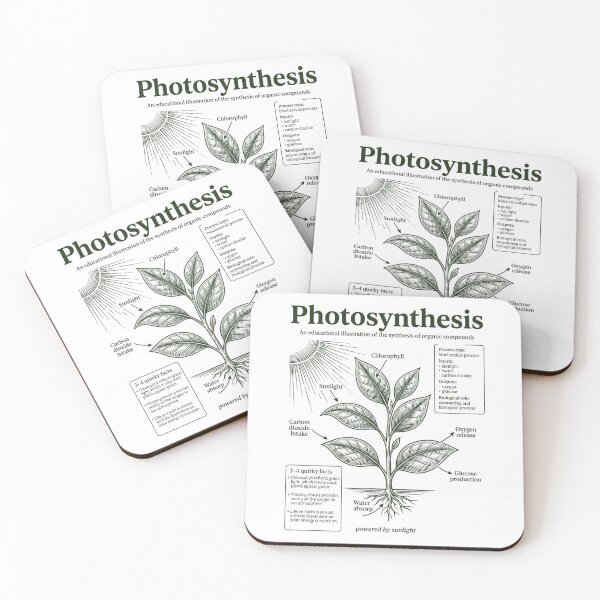 Item preview, Vintage Photosynthesis Diagram Plant Biology Science Chart designed and sold by FreshVibe Prints.