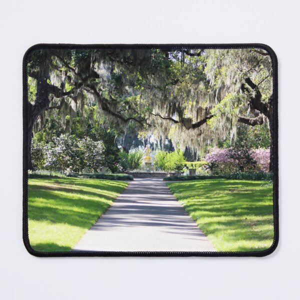 Item preview, Live Oak Allee designed and sold by Cynthia48.