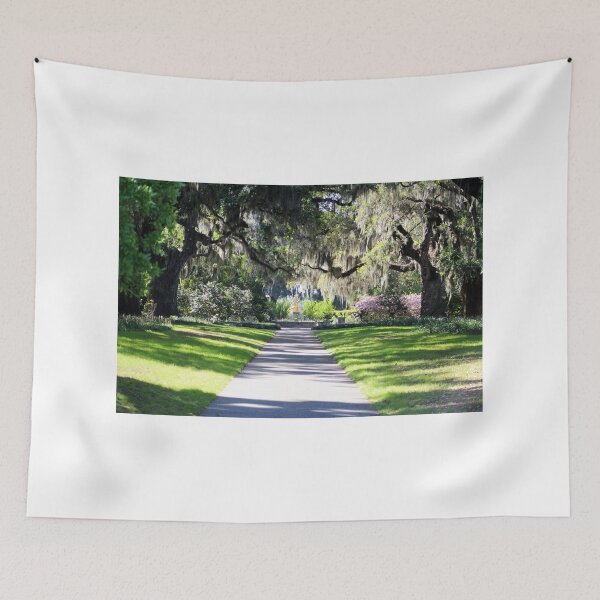 Item preview, Live Oak Allee designed and sold by Cynthia48.