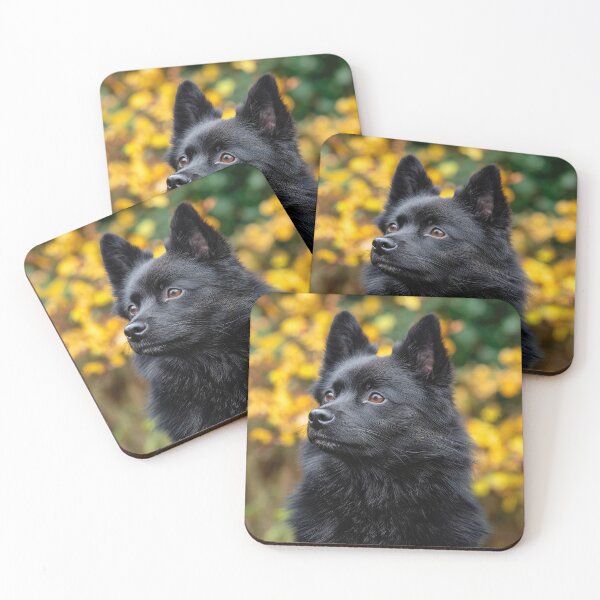 Item preview, Black Schipperke Dog designed and sold by Elisabeth Lucas.