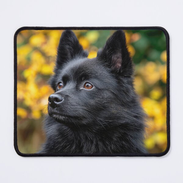 Item preview, Black Schipperke Dog designed and sold by Elisabeth Lucas.