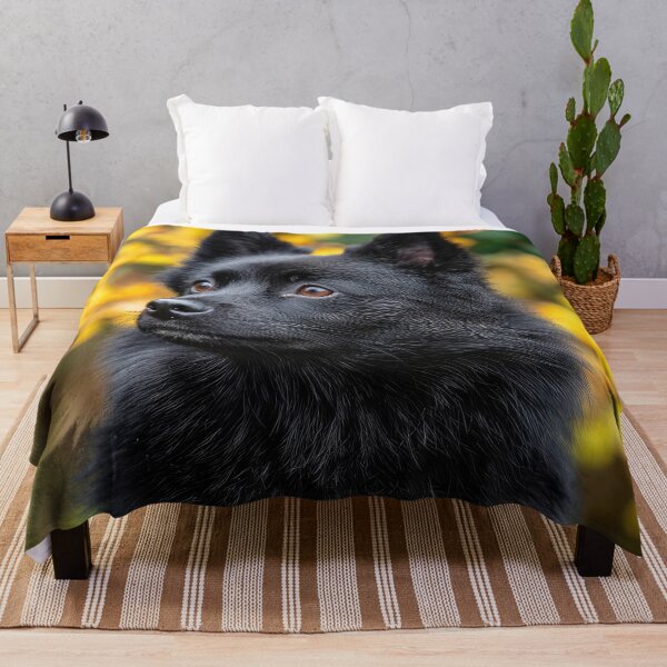 Item preview, Black Schipperke Dog designed and sold by Elisabeth Lucas.