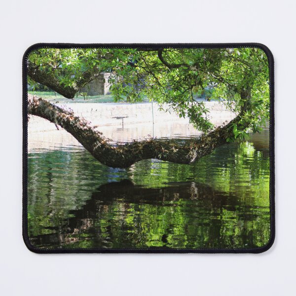 Item preview, Tree Over Water Reflection designed and sold by Cynthia48.