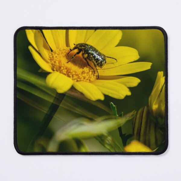 Item preview, Green Beetle on Yellow Daisy Flower Macro Photo Pollination Nature Close-Up Summer Garden designed and sold by Nmallia.