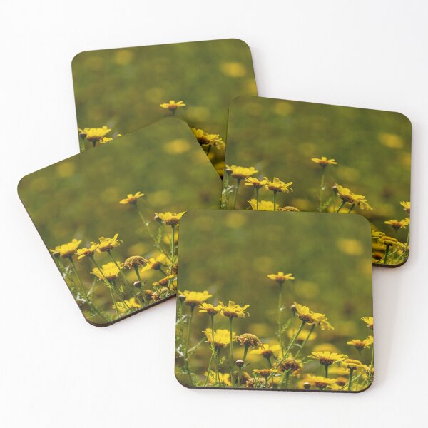 Item preview, Bright Yellow Daisies In Bloom On A Sunny Spring Hill With Green Stems And Bokeh designed and sold by Nmallia.