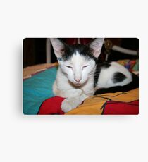I Cross My Heart... Canvas Print
