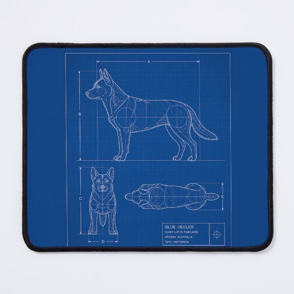 Item preview, Blue Heeler Blueprint designed and sold by TeAgaEse.