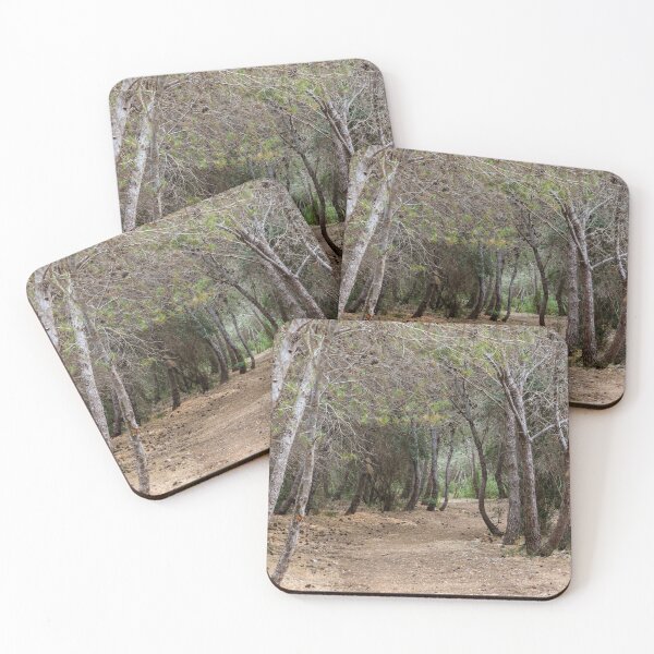 Item preview, Serene Pine Forest Trail Winding Through Dry Woodland With Scattered Pinecones And Canopy designed and sold by Nmallia.