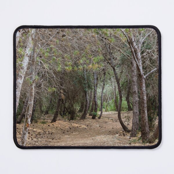 Item preview, Serene Pine Forest Trail Winding Through Dry Woodland With Scattered Pinecones And Canopy designed and sold by Nmallia.