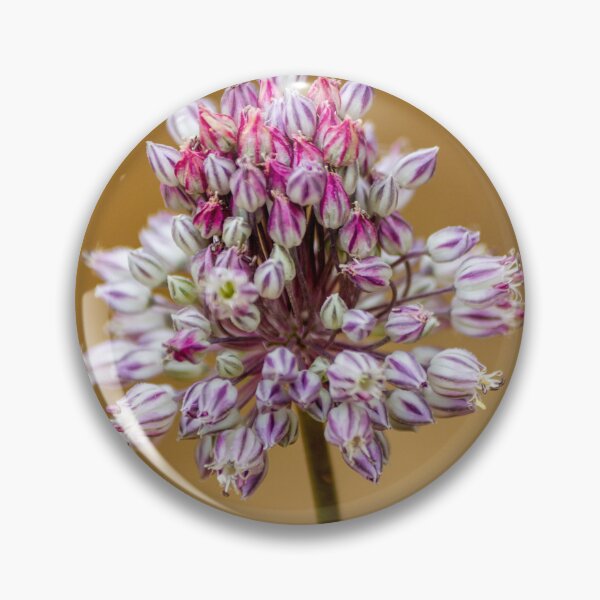 Item preview, Close-Up Pink Allium Flower Cluster With White Striped Buds On Soft Beige Background designed and sold by Nmallia.